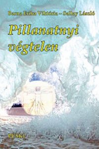 Pillanatnyi végtelen